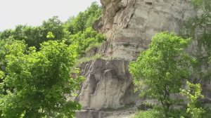 Прогулка на Гаврилову поляну