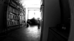 Териберка 2017