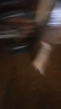 From the life of a red-haired cat (из жизни рыжего котейки) - ракета (rocket)