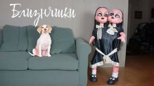 собачки против дьявольских близняшек