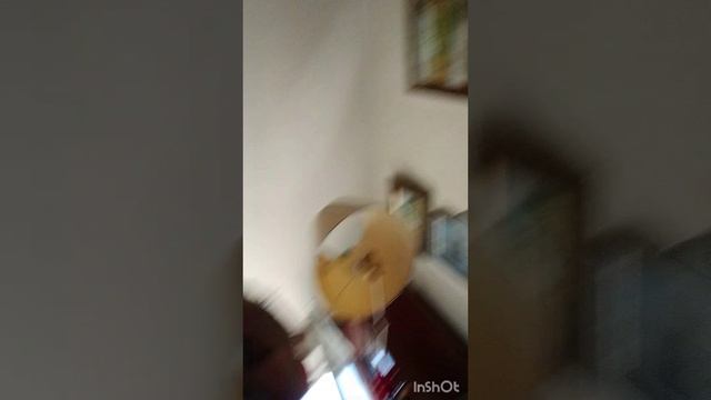 Всем хай с вами Шанхай и Дима