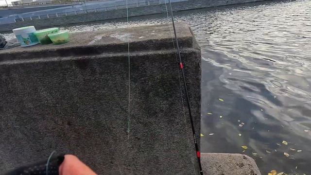 СИЛИКОНОВЫЕ ПРИМАНКИ ОСЕНЬ РЫБАЛКА ЛОВИМ ОКУНЯ УКЛЕЙ?