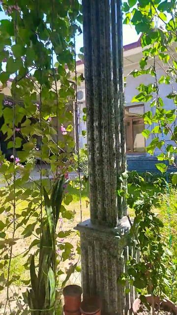 красивый фон для фото 📷 смотреть онлайн