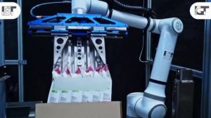 Elite_Robots_EC66_Cobot_All_in_One_Packaging_Solution_Italy (укладка в короб)