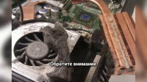 Как понять, что видеокарта сгорела? Главные признаки и что делать!
