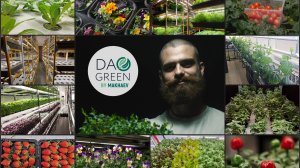 Краткий обзор запущенных ферм нашей командой Daogreen.