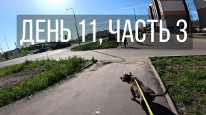 День 11, часть 3