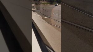 Поездки в общественном транспорте | 1-июн-2025