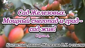 Сад Железовых. Мощный снегопад и град - сад жив! Серия 2.
