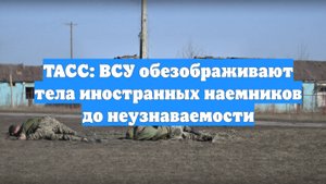 ТАСС: ВСУ обезображивают тела иностранных наемников до неузнаваемости