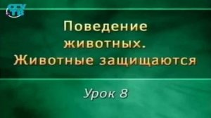 Животные защищаются # 8. Уход от опасности