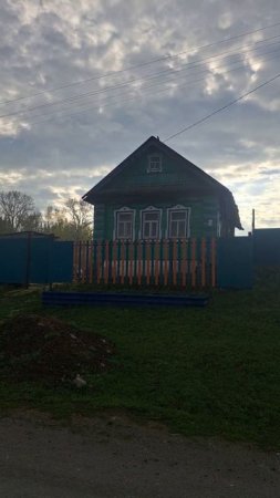 Дятел стучится в дом с утра