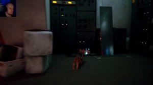 Прохождение Stray 😺 Аутсайд #9 ФИНАЛ