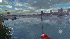 ULTIMATE FISHING SIMULATOR:большая щука и жерех.