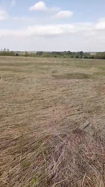 Крутой выходной)) #хобби #отдых #поиск #металлоискатель смотреть онлайн