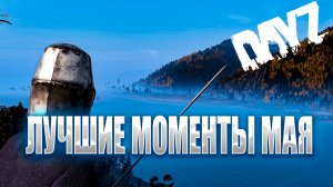 The BEST DayZ Moments of May 2025 - Лучшие моменты в Дейз за Май 2025