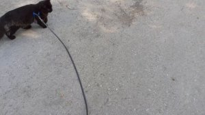 На улице.