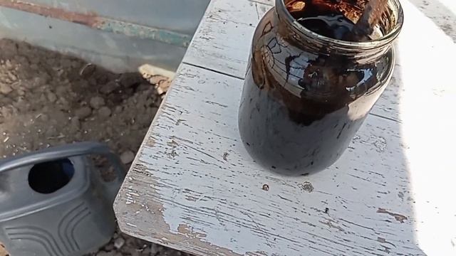 Придбали саджанці. Обробка теплиці наступний етап.Пол смотреть онлайн