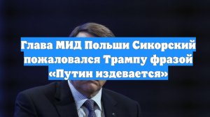 Глава МИД Польши Сикорский пожаловался Трампу фразой «Путин издевается»