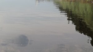 Поездка в деревню,обкатка знакомым мотора 6лс,лодка 280