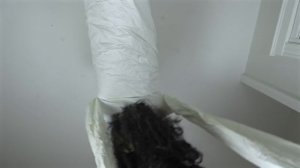 What To Do If You Find a Giant Ghost Hanging from Your Ceiling