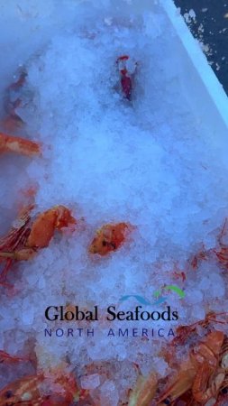 🦀🦞🍤 Свежайше. Горячо. Идеально.
Нет ничего лучше, чем только что сваренные крабы, лобстеры