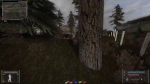 ФОТОГРАФ. S.T.A.L.K.E.R. #2. Болото. Промзона. Аномальный лес.