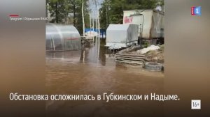 В Надыме и Губкинском дачные участки подтопило талыми водами
