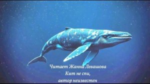 Кит не спи (1)