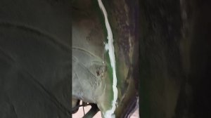 Субару Форестер нанесение шумоизоляции на арки. ч 1.