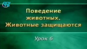 Животные защищаются # 6. Химическое оружие животных