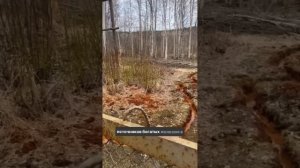Ржавая