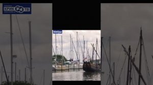 Пилигрим на острове Барнео