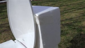 Is There a Monster Hiding in My Toilet? Dogs vs Toilet Eater