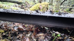 А я  по шпалам , опять по шпалам . Хорошая разведка старых усов УЖД. Нашёл ещё пол-тонны металла