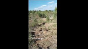 ГРУППА ИЛИМ НЕ СОБЛЮДАЕТ ЗАКОНЫ РОССИЙСКОЙ ФЕДЕРАЦИИ 🇷🇺