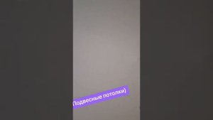 КОТ ЗАЛЕЗ ПОД НАТЯЖНОЙ ПОТОЛОК  #приколы  #юмор  #девушк