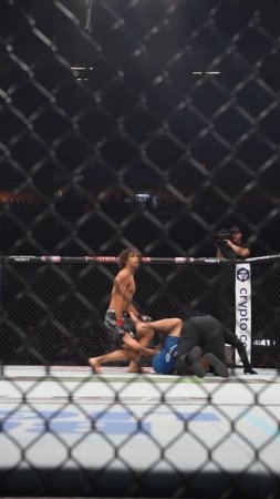 Лучшие нокауты Подпишись и ставь лайк #ufc #mma #youtube #sports #tiktok #shortsvideo #russia #box