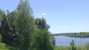 Krasivyye mesta Rossii. У причальной сосны.