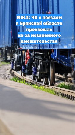 МЖД: ЧП с поездом в Брянской области произошло из-за незаконного вмешательства
