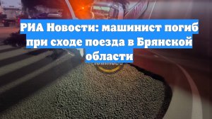 РИА Новости: машинист погиб при сходе поезда в Брянской области