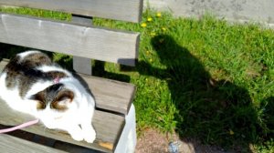 Новая знакомая. Маруся.