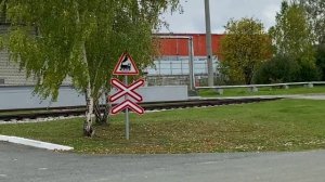 Тест камеры Айфон 11