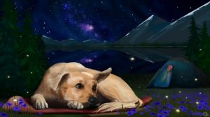 White Noise for Dogs | Ease Separation Anxiety