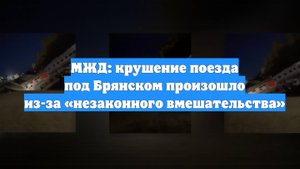 МЖД: крушение поезда под Брянском произошло из-за «незаконного вмешательства»