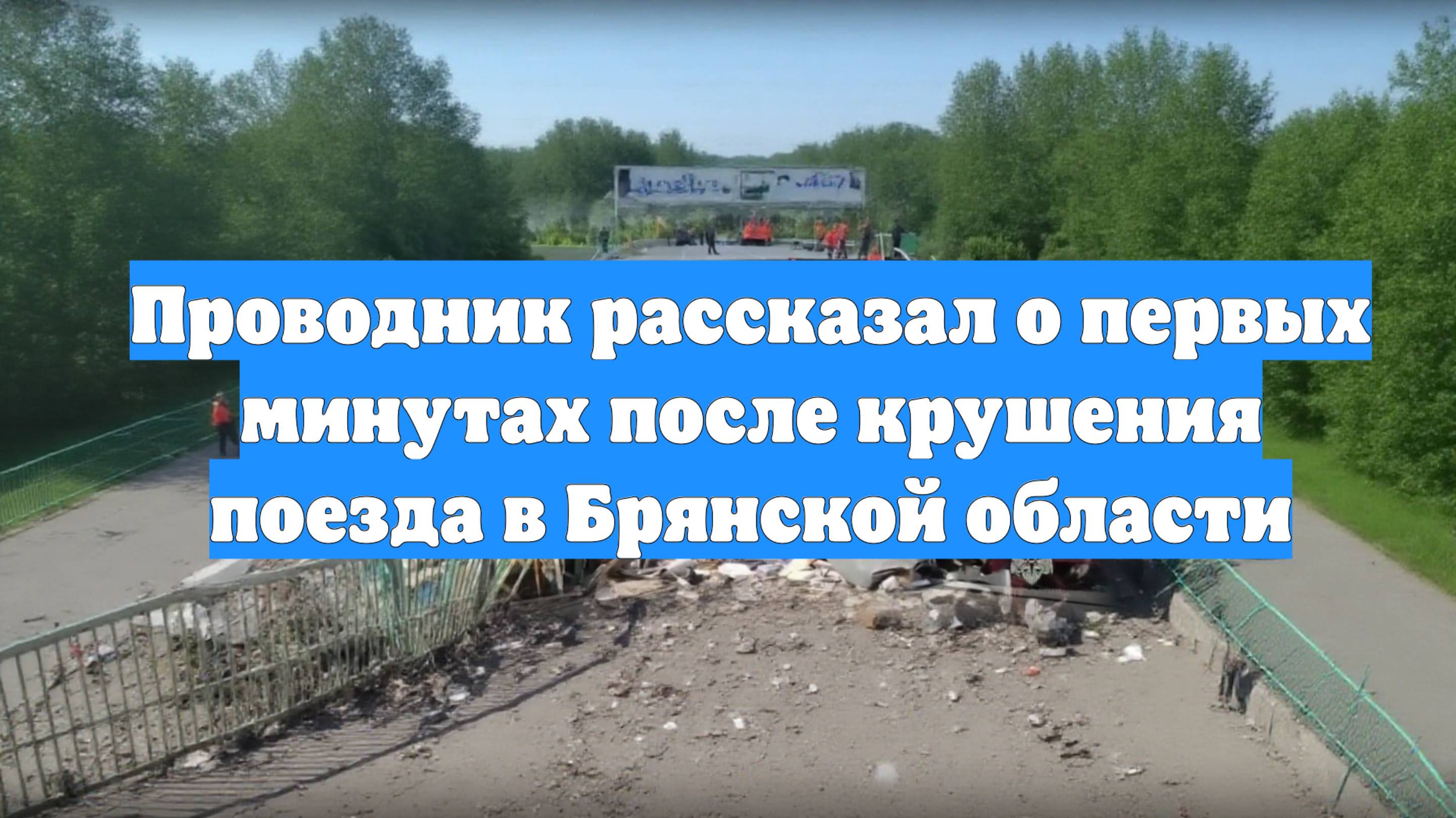 Проводник рассказал о первых минутах после крушения поезда в Брянской области