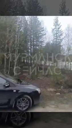 ВСУ атаковали дронами Мурманскую область