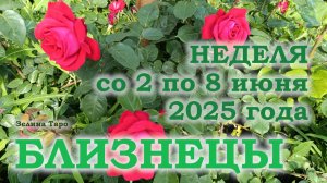 БЛИЗНЕЦЫ | ТАРО прогноз на неделю со 2 по 8 июня 2025 года