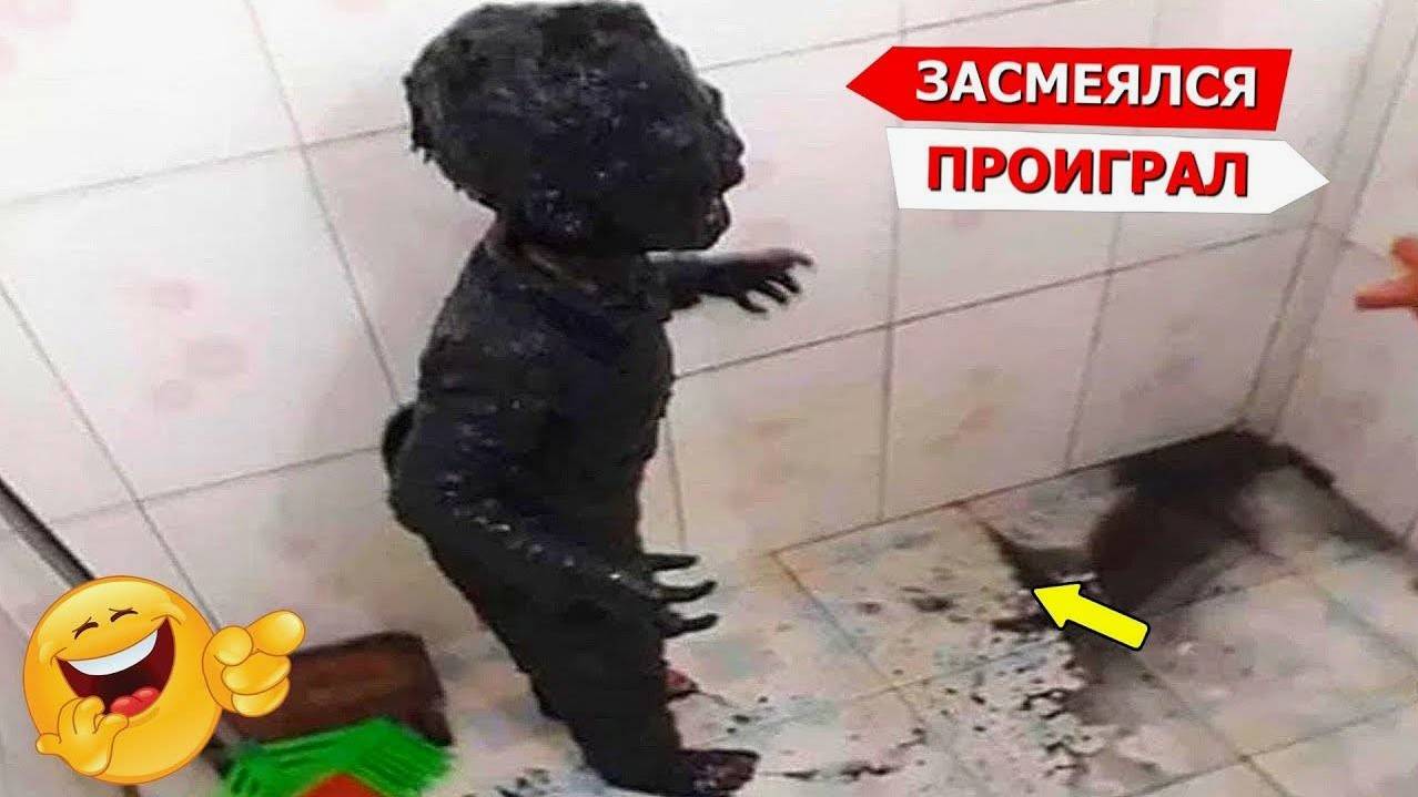 Я РЖАЛ ДО СЛЕЗ 😂 5 Минут ОТБОРНЫХ приколов 2025 Смешные видео - Лучшие ПРИКОЛЫ