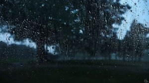 Rain Sounds for Sleeping | Rain on Window Ambience Helps You Relax | Fall Asleep Fast!